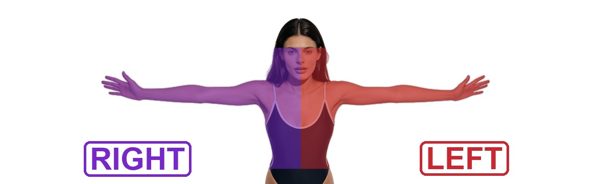 Right side purple, left side red